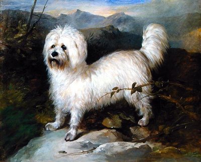 Small White Dog in a Landscape by Samuel Coleman