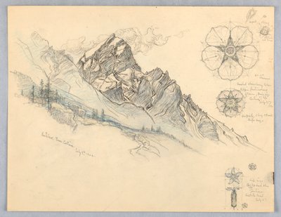 Antelao, From Cortina, with Studies of Flowers by Samuel Colman