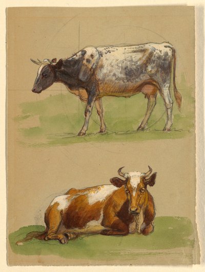 Drawing, Cattle, a Cow Walking and a Cow Crouching by Samuel Colman