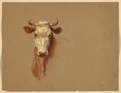 Drawing, Two Studies. Cattle, 1876 by Samuel Colman
