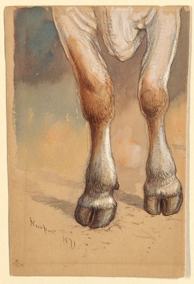 Forelegs of a Standing Cow or Ox, Newport by Samuel Colman