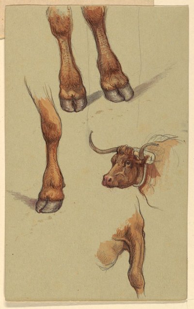 Sketches from Narragansett, Rhode Island by Samuel Colman