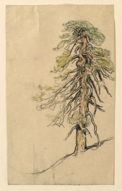 Study of a Tree on a Hillside by Samuel Colman