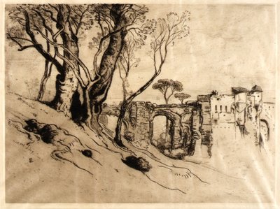 The Olive Trees of the Riviera by Samuel Colman