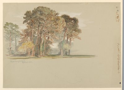 The Pine Trees of El Monte, California by Samuel Colman