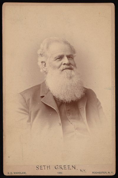 Portrait of Seth Green by Samuel D Wardlaw