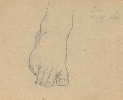 Study for the Judgment of Jupiter (detail) by Samuel Finley Breese Morse