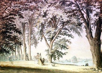 Trees by the Thames opposite Hammersmith by Samuel Hieronymous Grimm