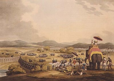 Driving Elephants Into A Keddah, from Oriental Field Sports by Samuel Howett