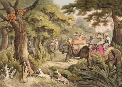 Shooting A Leopard, from Oriental Field Sports, pub. by Edward Orme by Samuel Howett