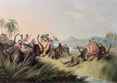 The Tiger At Bay, from Oriental Field Sports by Samuel Howett