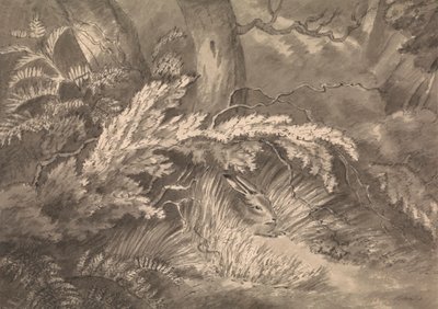 A Hare at the Edge of the Wood by Samuel Howitt