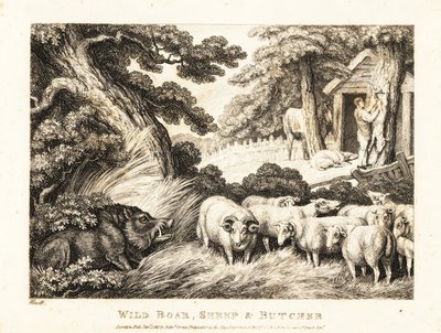 A flock of sheep wait for slaughter by a butcher by Samuel Howitt