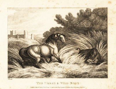 A horse and wild boar face off in a pasture by Samuel Howitt