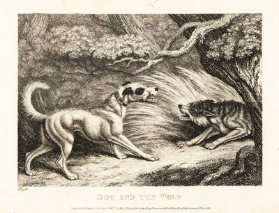 A House Dog in a Collar Offers Food to a Starving Wolf by Samuel Howitt