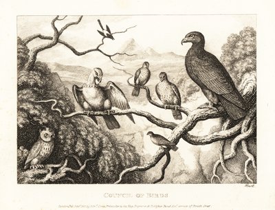 An Eagle Presides Over a Court of Birds in a Tree by Samuel Howitt