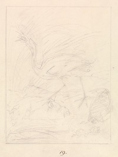 Crane and Frogs by Samuel Howitt