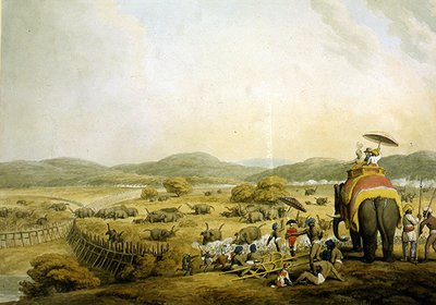 Driving Elephants into a Keddah by Samuel Howitt