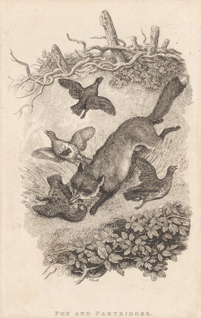 Fox and Partridges by Samuel Howitt