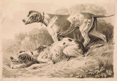 Gun Dogs by Samuel Howitt