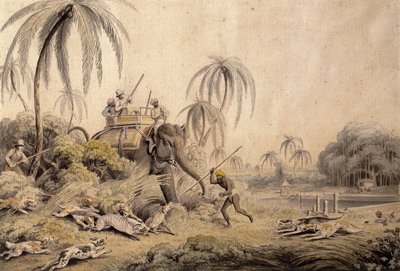 Hunting Kuttauss or Civet Cat by Samuel Howitt