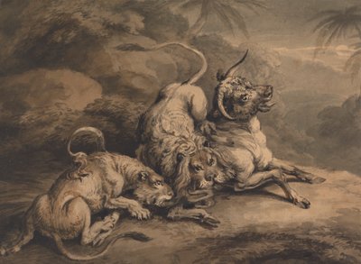 Lion and Lioness Attacking a Steer by Samuel Howitt
