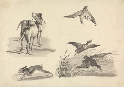 Sheet of Studies of Hounds, Hare, Falcon and Ducks by Samuel Howitt