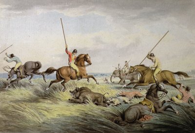 The Hog Chase - The Kill, from 