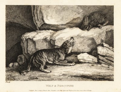 The Wolf and the Porcupine by Roger L