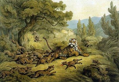 Tiger Hunted by Wild Dogs by Samuel Howitt