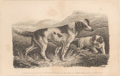 Two Dogs by Samuel Howitt