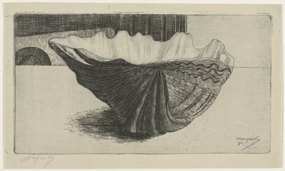A Shell, Lying on Its Curve by Samuel Jessurun de Mesquita
