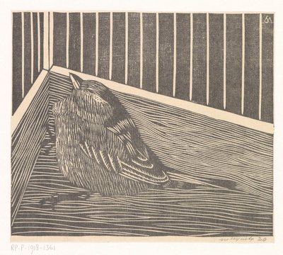 Bird in the Corner of a Cage by Samuel Jessurun de Mesquita