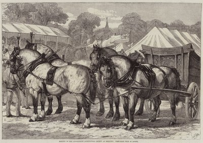 Meeting of the Lincolnshire Agricultural Society at Sleaford, First-Prize Team of Horses by Samuel John Carter