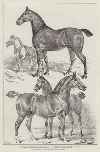 Prize Horses at the Agricultural Hall, Islington by Samuel John Carter