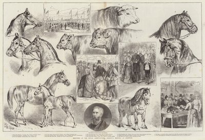Sketches at the Royal Agricultural Society