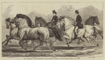 The Horse-Show at the Agricultural Hall, Islington, Parade of Prize Horses, Trotters and Hacks by Samuel John Carter
