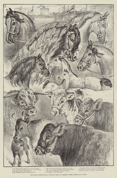The Royal Agricultural Society