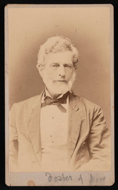 Portrait of Mr. Foster of Massachusetts by Samuel Montague Fassett