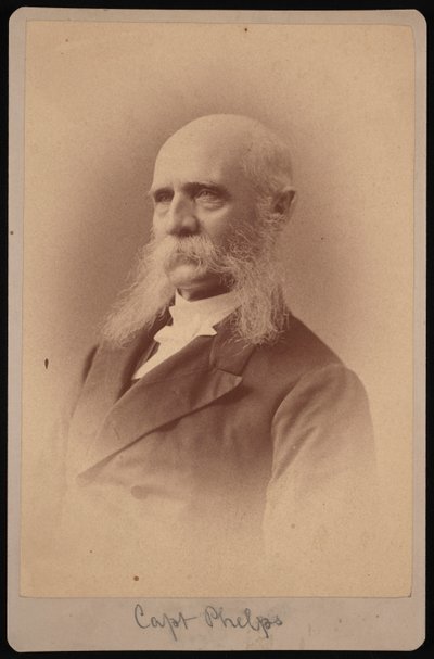Portrait of Seth Ledyard Phelps 1824-1885, 1878 by Samuel Montague Fassett