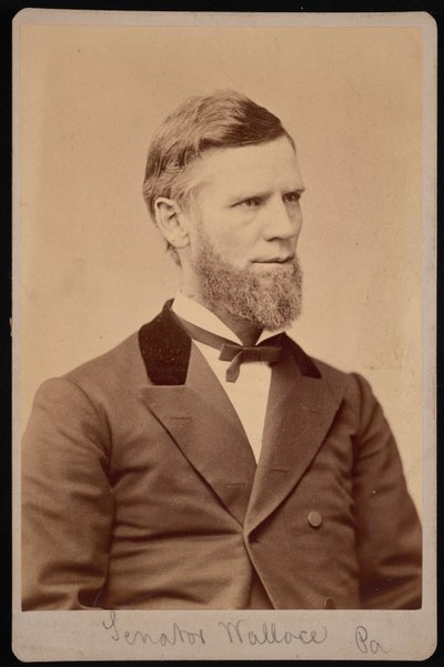 Portrait of William Andrew Wallace by Samuel Montague Fassett