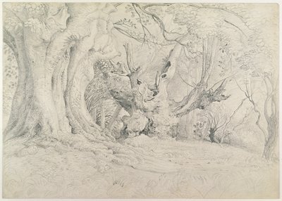 Ancient Trees, Lullingstone Park, 1828 by Samuel Palmer