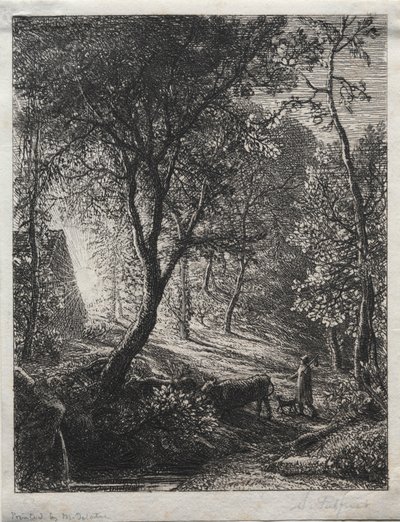 The Herdsman