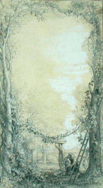 The Vintage, design for an illustration for 