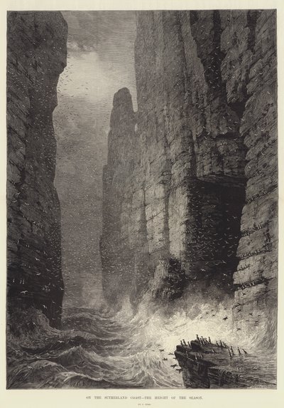 On the Sutherland Coast, the Height of the Season by Samuel Read