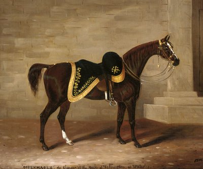 Copenhagen, the Charger of the Duke of Wellington at Waterloo by Samuel Spode