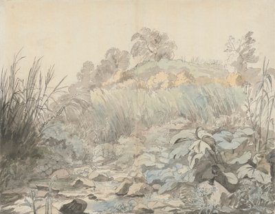 A Rocky Stream by Samuel Woodforde