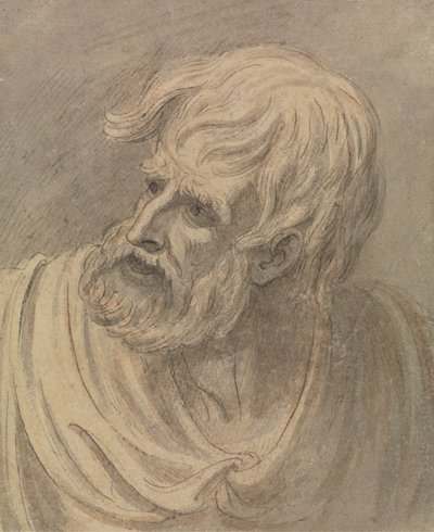 Head of a Man with a Beard Looking to the Left by Samuel de Wilde