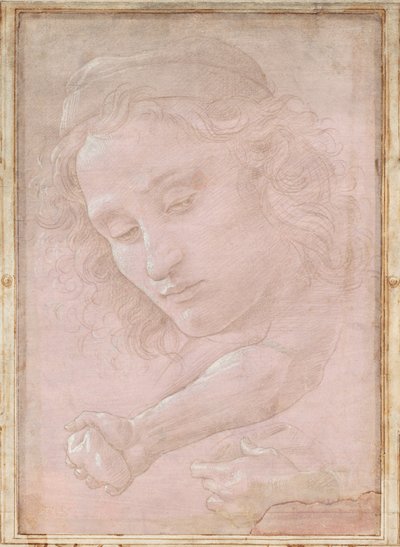 Head of a Youth Wearing a Cap; a Right Forearm with the Hand Clutching a Stone; and a Left Hand Holding a Drapery by Sandro Botticelli