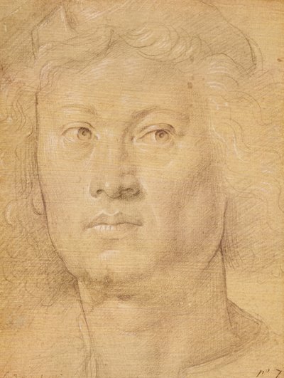 Head of an Angel by Sandro Botticelli